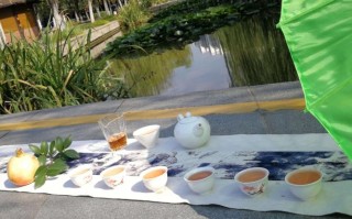 户外茶席设计要点，户外茶席器物保护办法
