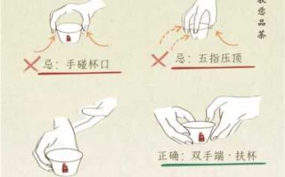茶艺实操避坑，新手泡茶容易犯的几个错误