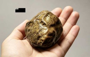 粒粒金珠——鱼子石的肌理美学与品鉴标准
