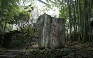 九龙窠六株原生母树大红袍：年产不足一斤，封存二十年的茶中活化石