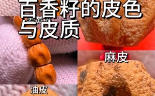百香籽多产区辨析，热振、青海、甘肃料外观皮质特征对比