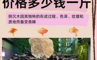 不同流域阴沉木对比，长江流域与西江流域料质差别