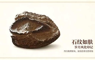 掌中天然阴元石：藏于方寸间的天地玄牝