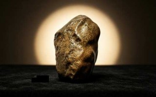 粒粒金珠凝石韵，一方鱼子藏山川——鱼子纹奇石赏析