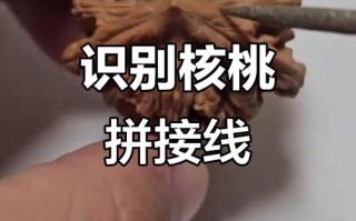 市场造假文玩核桃，染色做旧核桃识别方法