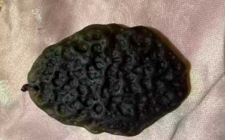 天然捷克陨石（玻璃陨石）鉴定 