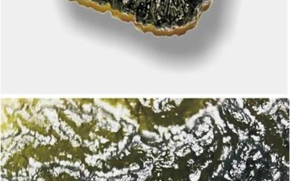 野趣微观入门，随身放大镜观察自然矿物纹理