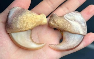 牙角器物风化辨析，自然老化与人为做残区别