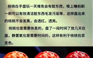 老玩家玩核桃心得，文玩核桃盘玩贵在持之以恒