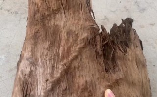 阴沉木防虫耐腐特性，长期厌氧环境形成的天然优势