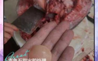 鱼子石清理方法，轻柔清理保护鱼子石原生皮壳