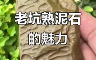泥石收藏理性看待，不要盲目追捧稀有泥石品种