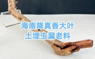 虫漏沉香产地成因，虫蛀创伤结香的外观与香韵特点