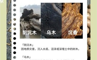 阴沉木核心产地溯源，水域地质环境对料质的影响解析