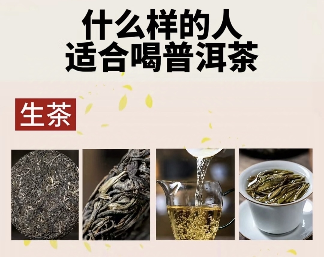 论茶