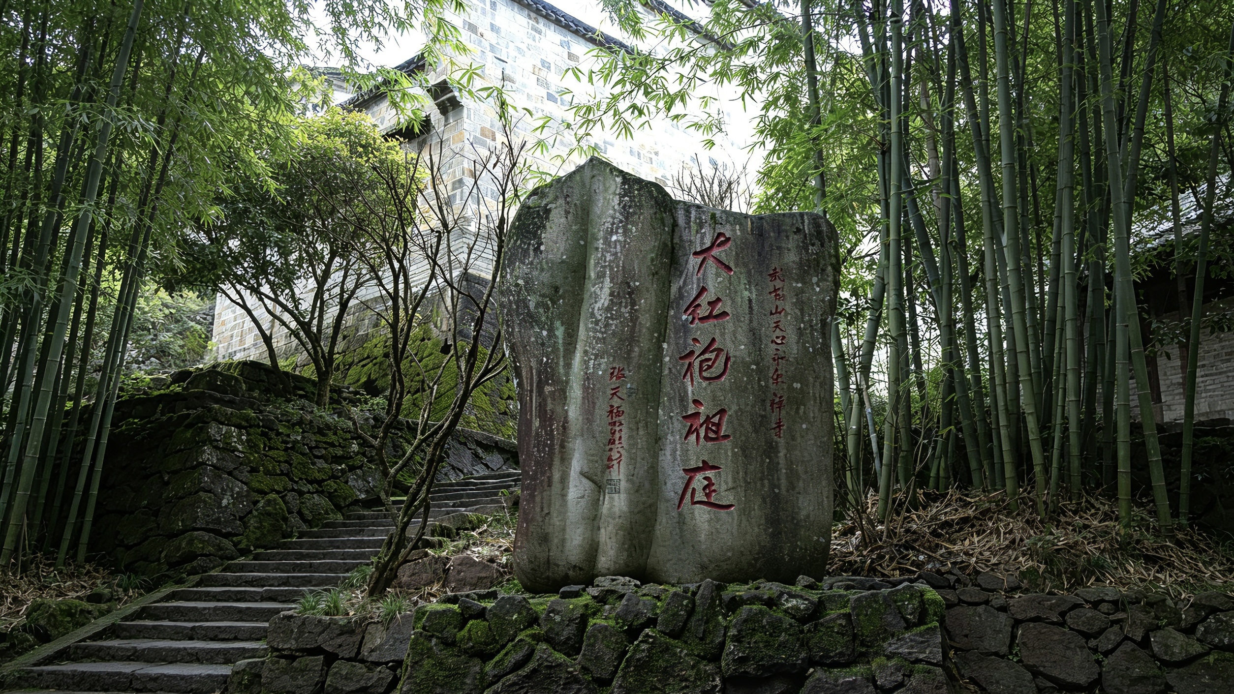 九龙窠六株原生母树大红袍：年产不足一斤，封存二十年的茶中活化石