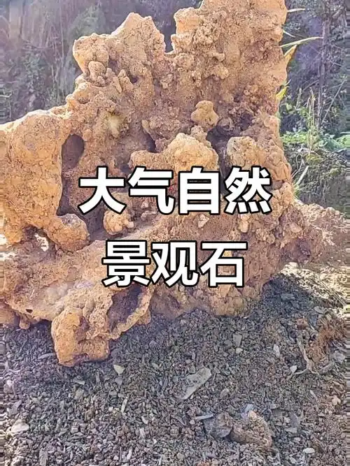 观赏石分哪几类？画面石、象形石、玉化石收藏区别详解
