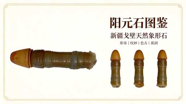 戈壁天成阳元石：大漠孕育的天地至阳奇石