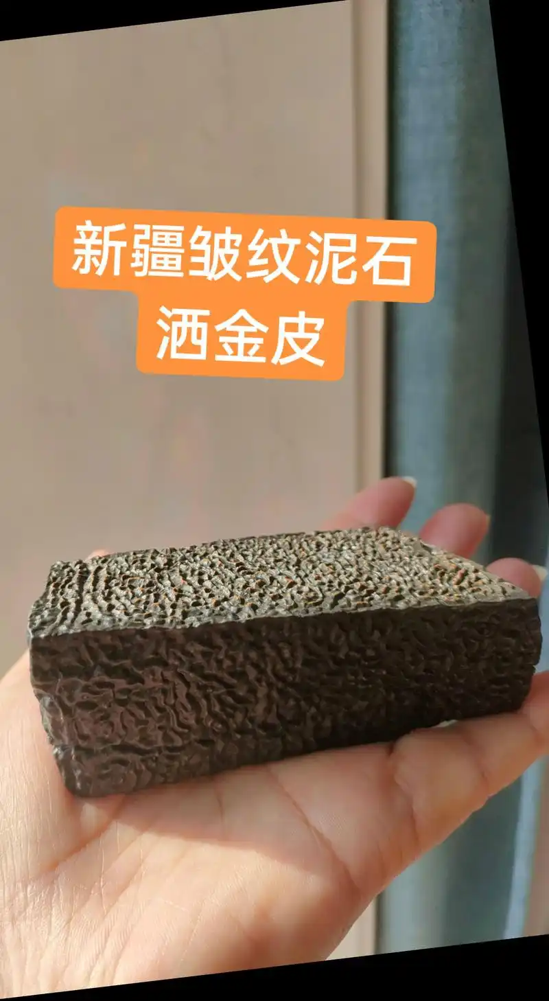 大地皴皱，岁月留痕——品读天然皱纹石的时光美学