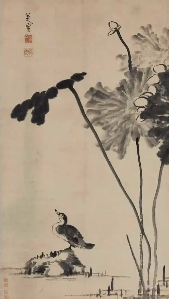 朱耷（八大山人）《荷石水禽图》鉴赏（清）