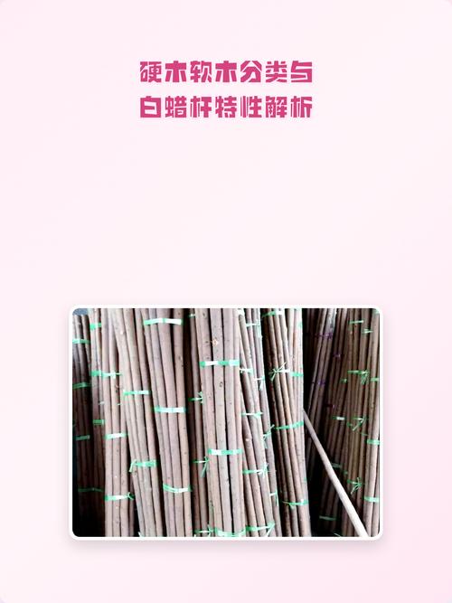 硬木软木鉴别，读懂木材纹理的鉴定逻辑