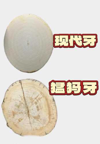 牙角雕工辨年代，古法制刀与现代机雕差异