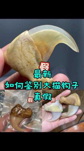 牙角高仿造假揭秘，市面常见仿造套路详解
