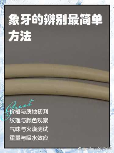 老象牙角养护与存放，避免开裂老化的专业技巧