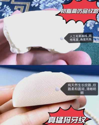 象牙角收藏避坑指南，新手鉴定易踩的误区