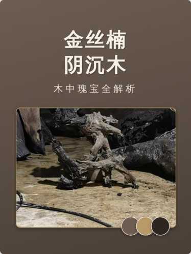 金丝楠木性解读，冬暖夏凉不易变形的天然优势
