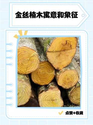 金丝楠耐腐防虫特性，千年不腐的木材内在机理