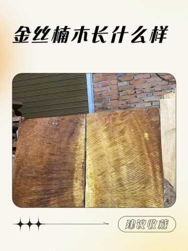 金丝楠产地与品相关系，环境如何影响金丝成型