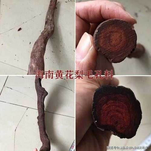 海南黄花梨棕眼特征,产地差异带来毛孔粗细变化 海南黄花梨棕眼特征,产地差异带来毛孔粗细变化