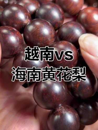海南黄花梨与越南黄花梨，产地及外观特征核心区别