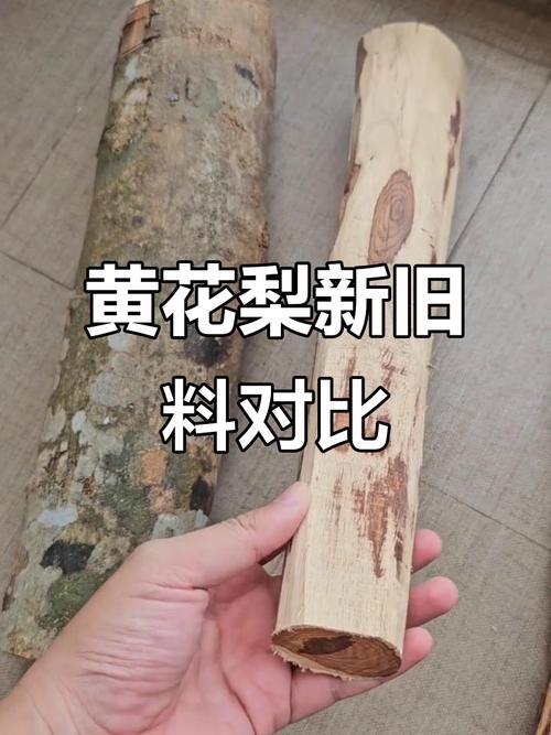 海黄大料与小料产地差异，纹理稳定性对比研究