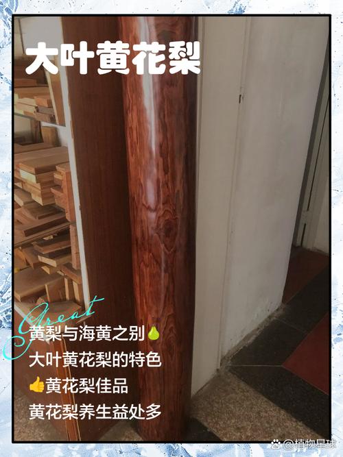 黄花梨收藏看产地，产区特征对木料价值的影响逻辑