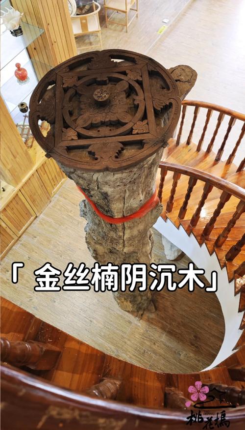 金丝阴沉木赏析，炭化后金丝光泽的形成原因详解
