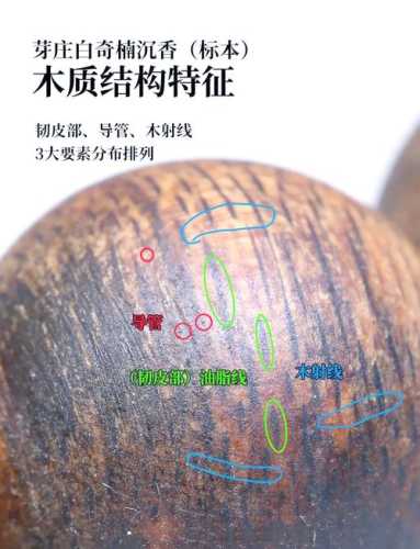 阴沉木新老料甄别，出土料风化特征与埋藏痕迹区别