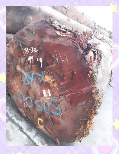 红椿阴沉木产地与特征，木料色泽及肌理识别要点