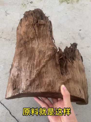 阴沉木防虫耐腐特性,长期厌氧环境形成的天然优势 阴沉木防虫耐腐特性,长期厌氧环境形成的天然优势