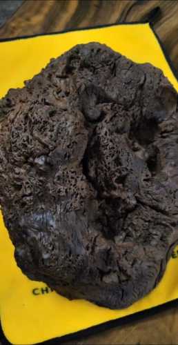 阴沉木防虫耐腐特性,长期厌氧环境形成的天然优势 阴沉木防虫耐腐特性,长期厌氧环境形成的天然优势