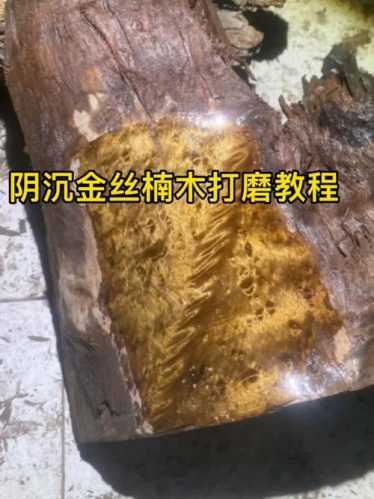 阴沉木原料皮壳识别，淤泥包裹形成的原生外皮特征