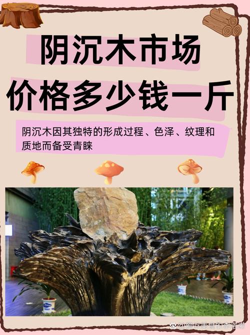 不同流域阴沉木对比，长江流域与西江流域料质差别
