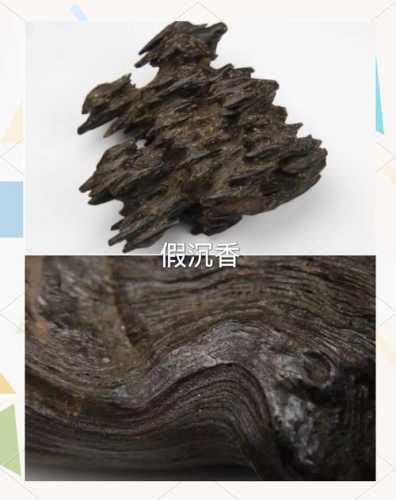 阴沉木产地鉴别技巧，通过材色密度反推埋藏水域环境