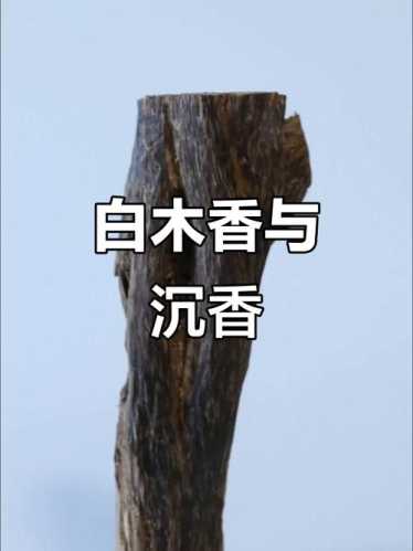 海南莞香沉香产地溯源,本土白木香结香与香韵特征解析 海南莞香沉香产地溯源,本土白木香结香与香韵特征解析