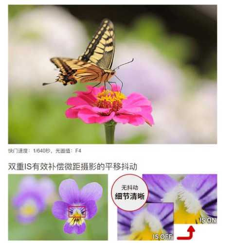 EF100 f/2.8L IS（新百微）+5D3 微距实战技巧