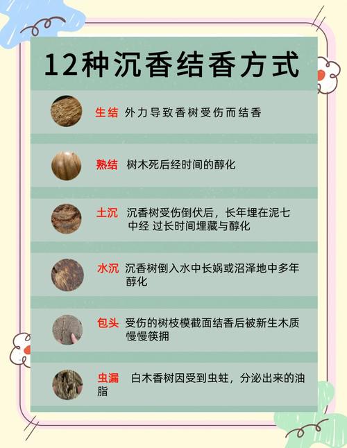 沉香结香原理详解，产地环境如何影响油脂形成与香质