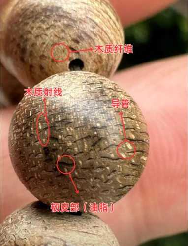 沉香油线纹理辨识，不同产区料子油丝形态特征对比