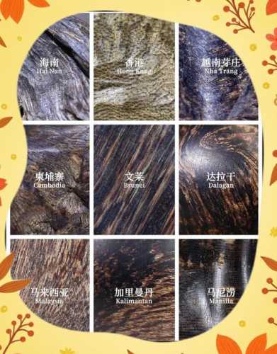 海南沉香古料新料对比，产区环境带来香韵层次变化