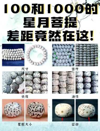 星月菩提海南产区溯源,黄藤生长环境与籽料油性特征解析 星月菩提海南产区溯源,黄藤生长环境与籽料油性特征解析